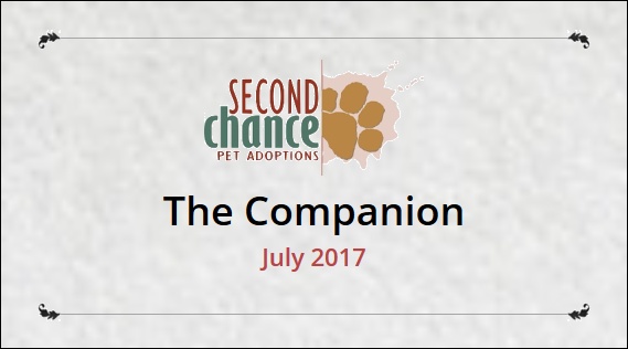 The Companion July 2017