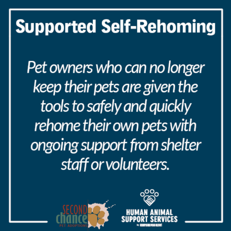 Grooming Services - Second Chance Animal Rescue