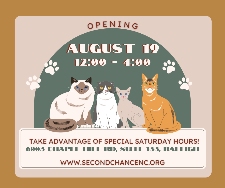 https://www.secondchancenc.org/wp-content/uploads/2023/07/caturday-1.png