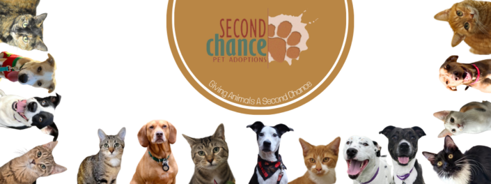 Second Chance Pet Adoptions | Raleigh, NC