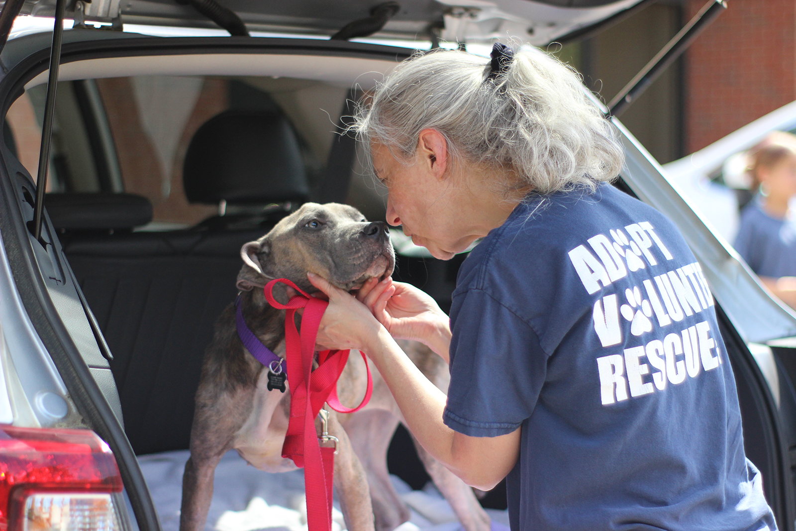 Second Chance Jrt Program Our Programs | Second Chance Pet Adoptions